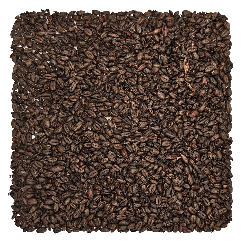 Home Brew Ohio Chocolate Grain 1lb