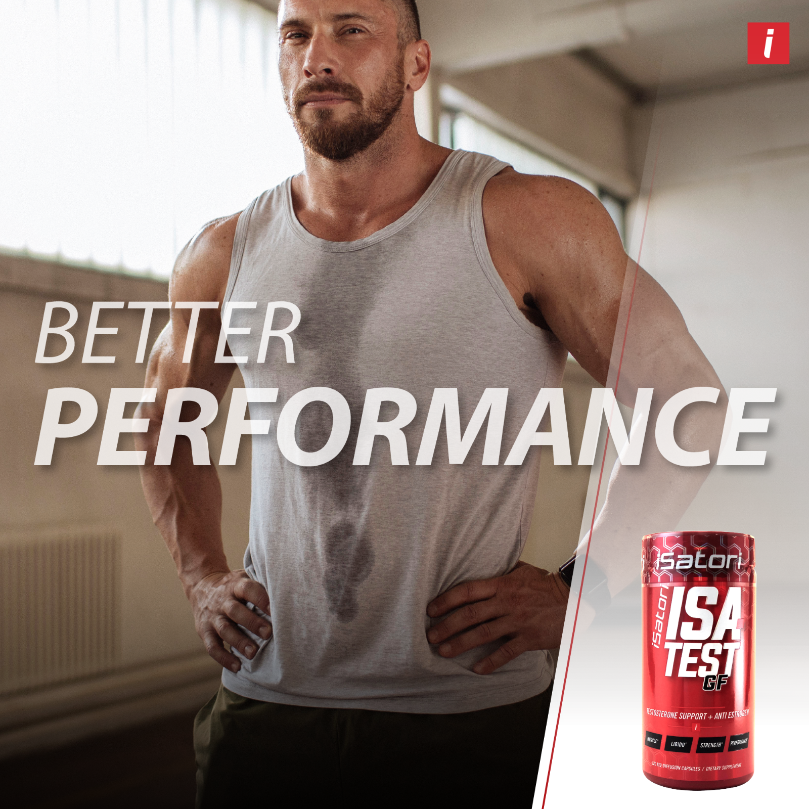 Isa-Test GF Testosterone Support Plus Anti Estrogen, 120 Count