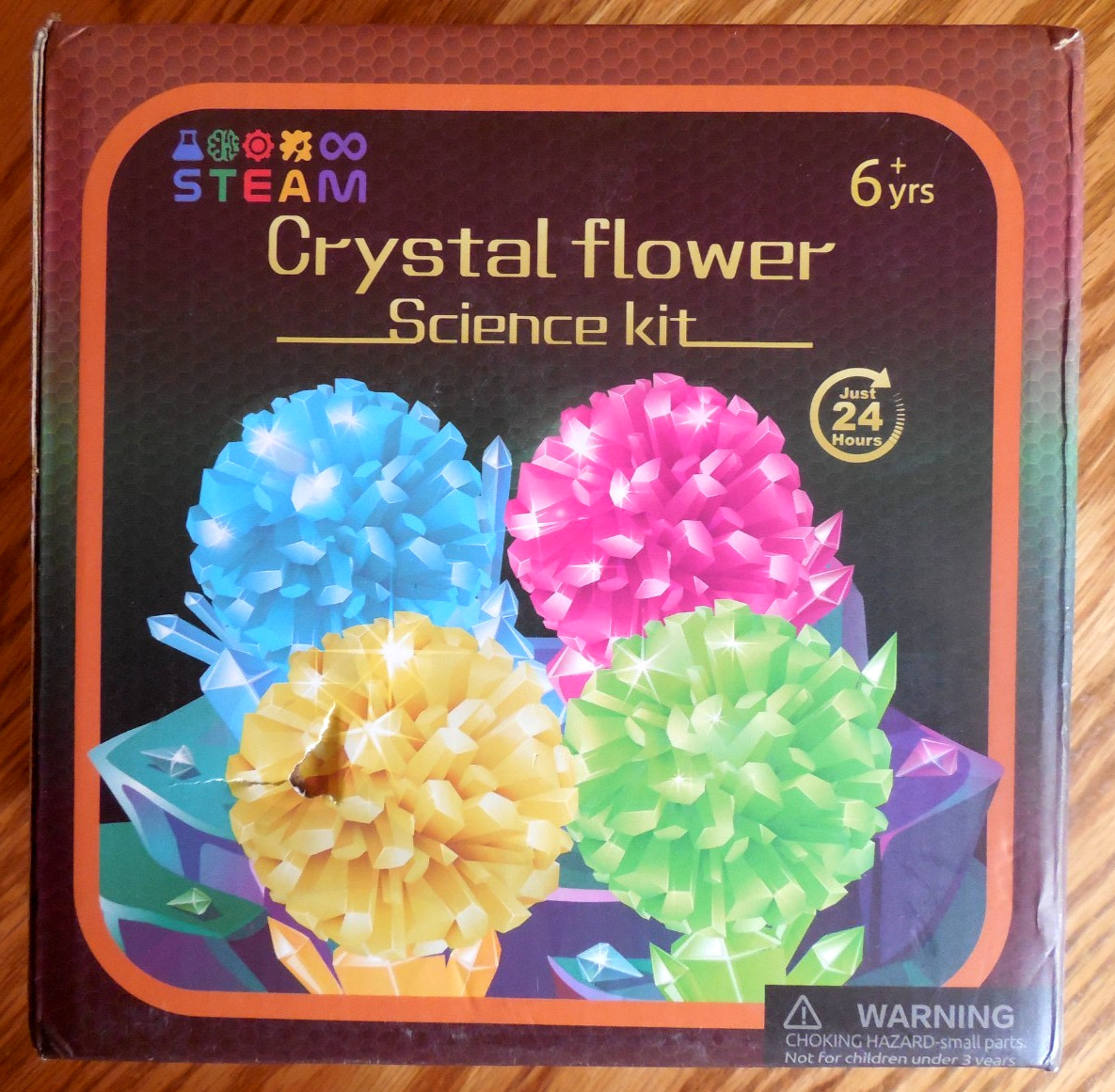 NEW  Grow "Crystal Flower" Science Kit  STEM Project DIY  Age 6+