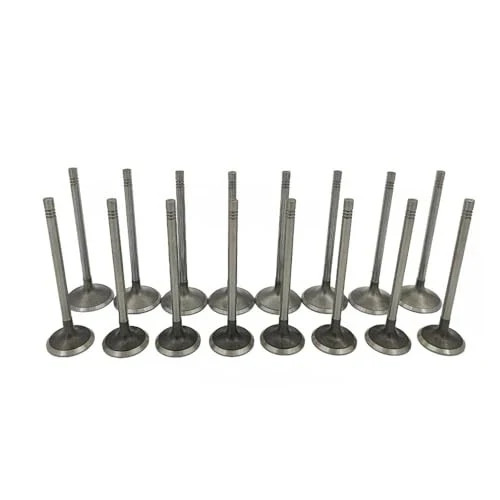 Intake Exhaust Valves, 16Pcs Engine Intake & Exhaust Valves Kit Fits For Chevy
