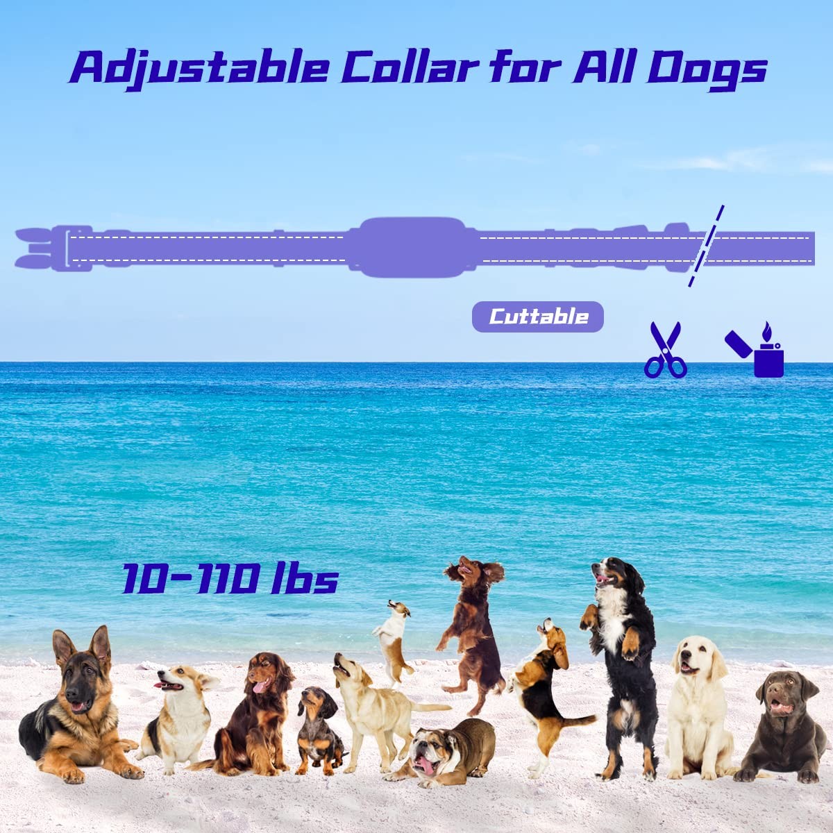 Electronic Training Collar Dog Collar with 3300Ft Remote Range 4 Training Mod...