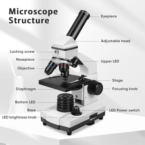 Microscope for Adults Professional:Compound Microscope for Kids 8-12,100X