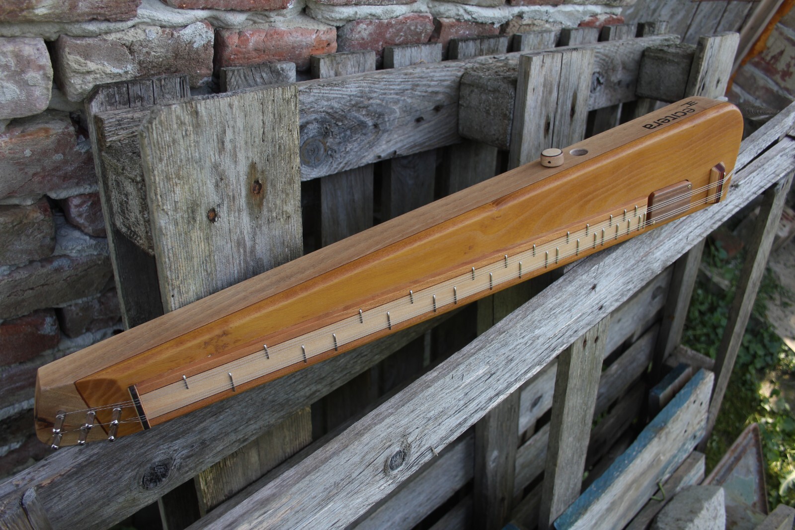 eCitera Electric Zither