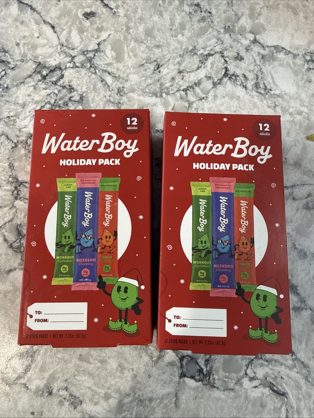 Waterboy Mixed Sampler Recovery Electrolyte Powder LOT Of 2 - 12 Stick Packs