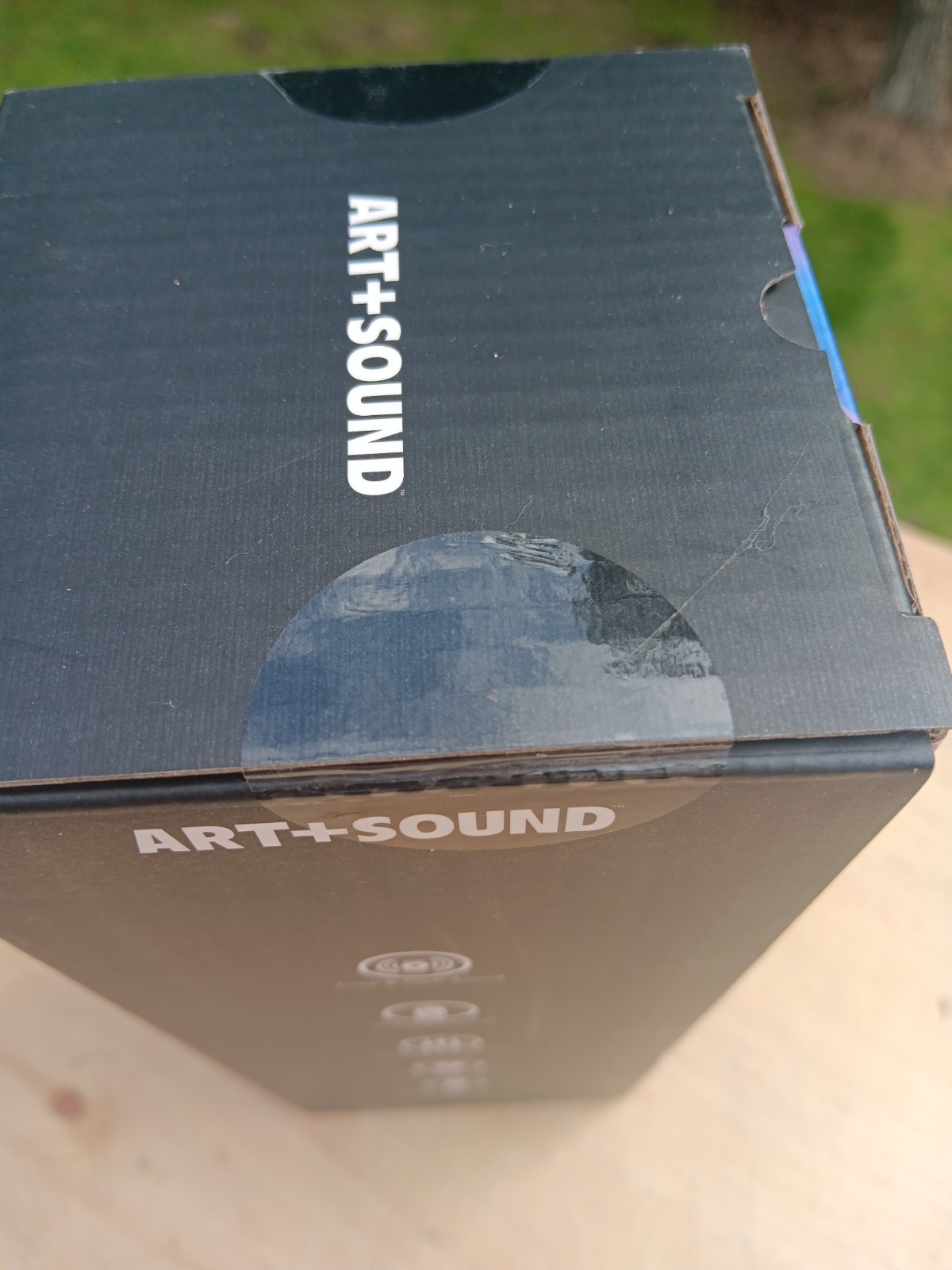 Karaoke Bluetooth Microphone And Wireless Speaker | Art+Sound