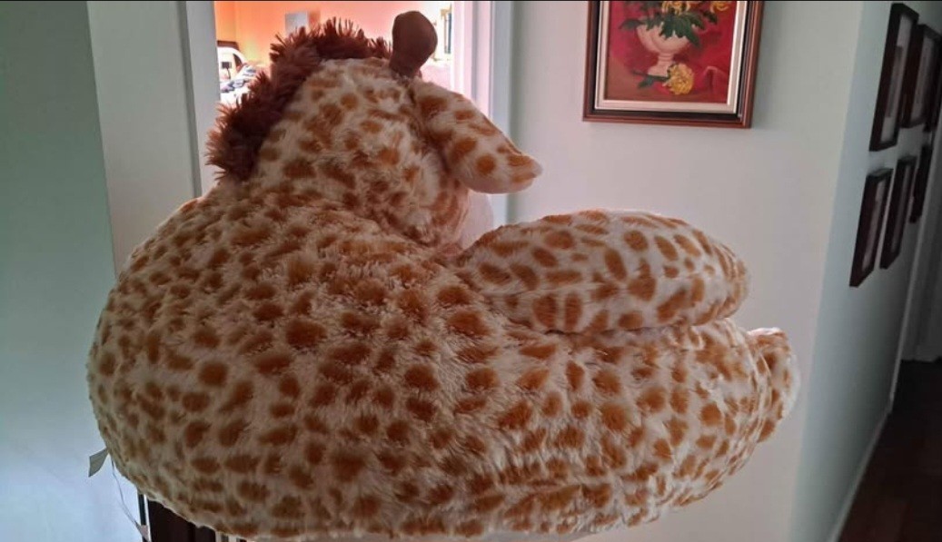 New With Tags Hugfun Giraffe Chair