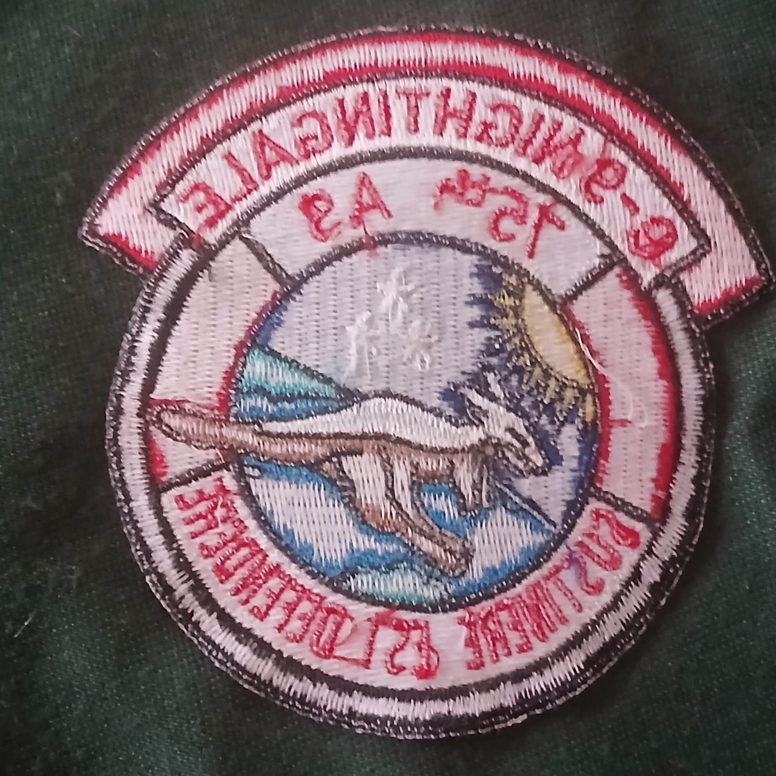 Patch USAF Sqd. 75TH ASC-9 Nightingale