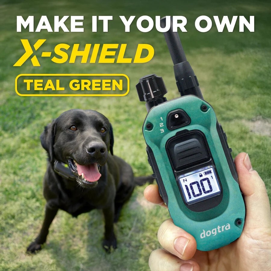 Dogtra X-SHIELD Teal - Teal 280X Faceplate