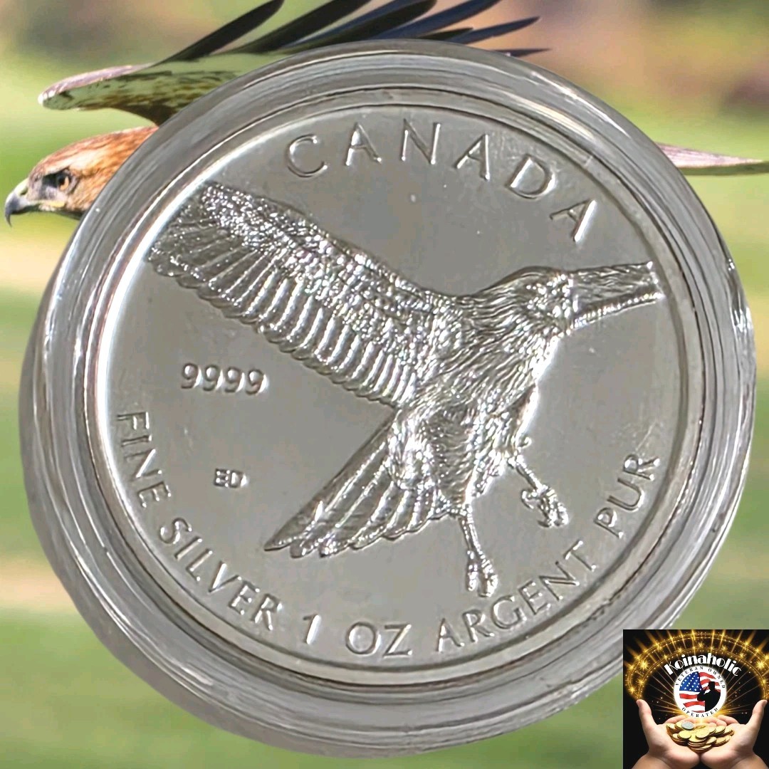 2015 Canada $5 1 Oz .9999 Silver, Bird of Prey,  Eagle In Capsule, Scarce