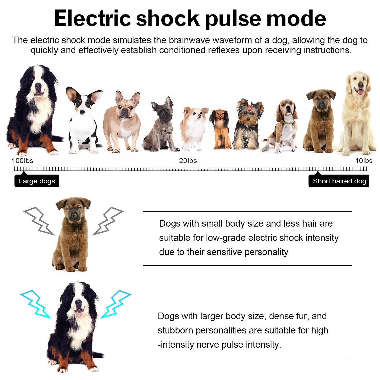 Dog Training Collar with Remote Rechargeable Waterproof LCD Pet Dog Shock Collar