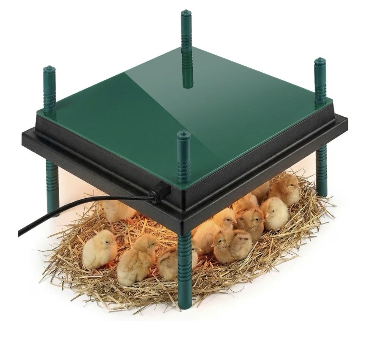 Brooder Heater for Chicks, 10" X 10" for 15 Chicks Heating Plate-Orange