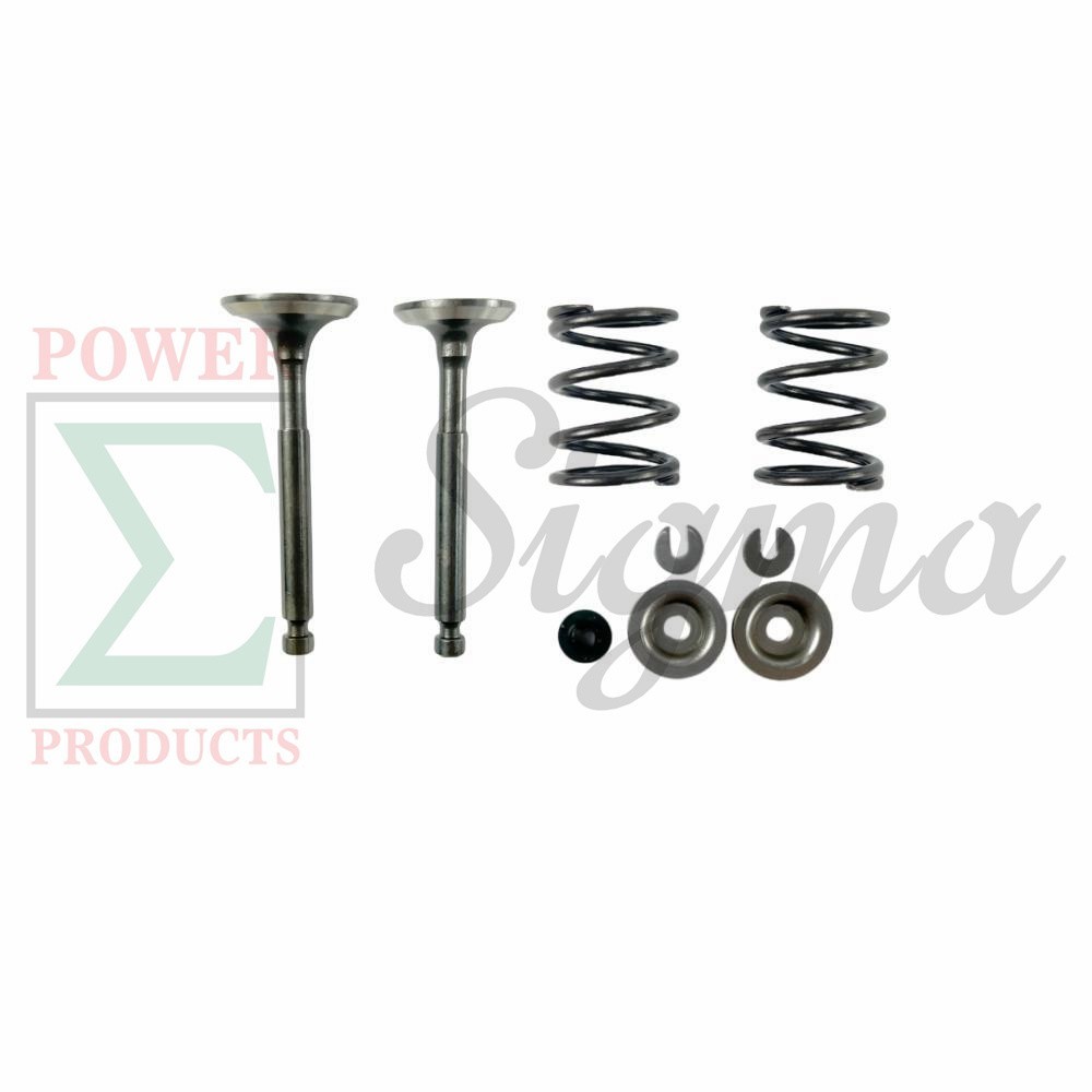 Intake Exhaust Valve Spring Kit for Westinghouse Inverter Generator iGen2200