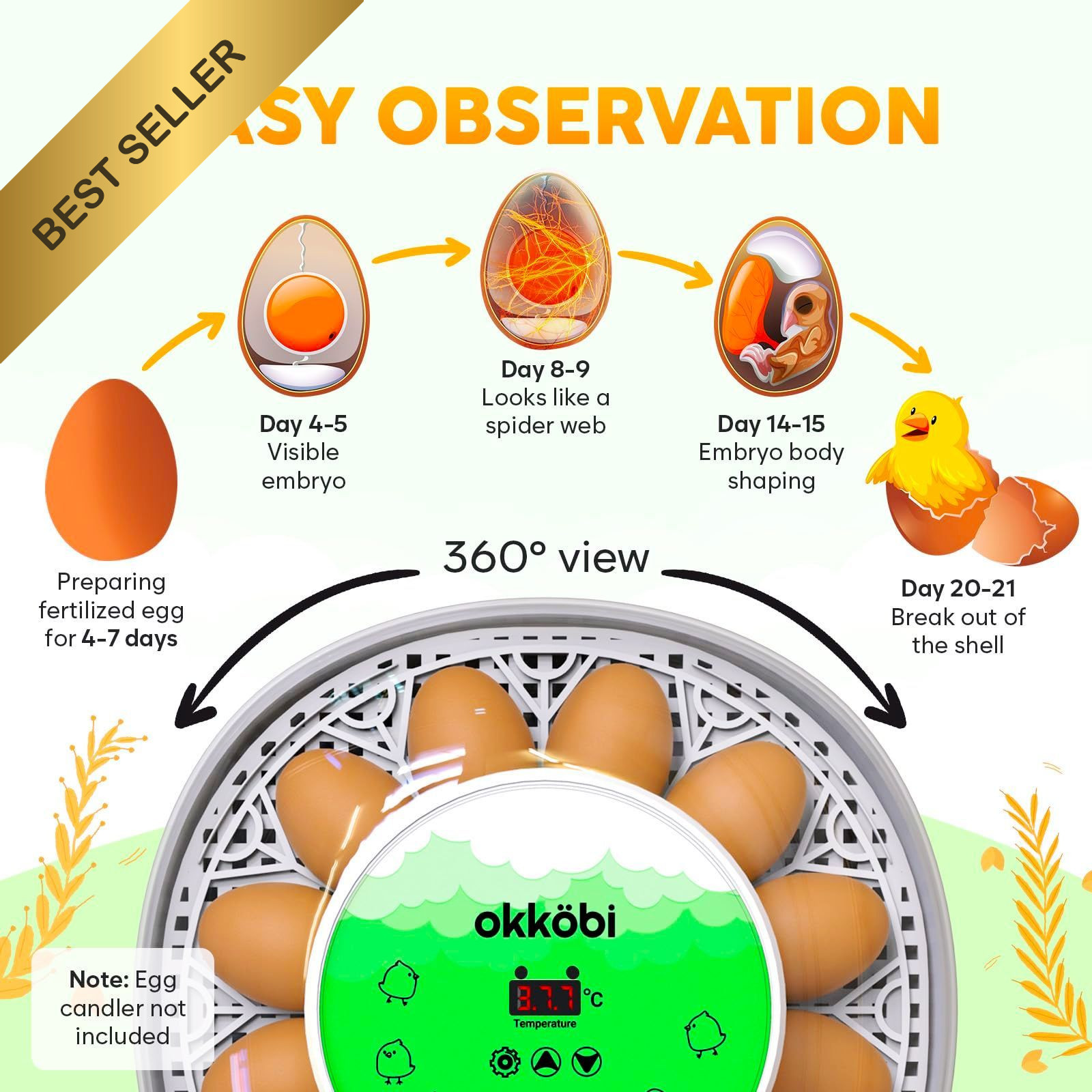 Okkobi M12 Egg Incubator Automatic Turner Humidity Control 12/24 Eggs White & Gr