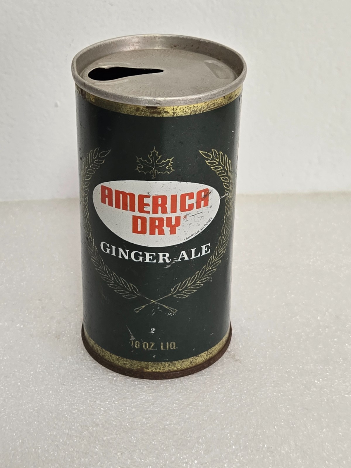 Vintage America Dry Ginger Ale 10 oz Straight Steel Soda Pop Can