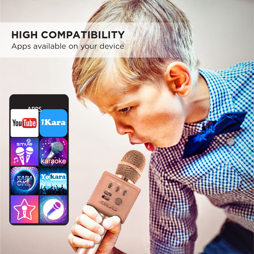 Gigastone Bluetooth V5.0 Karaoke Microphone Wireless Portable Handheld Speaker