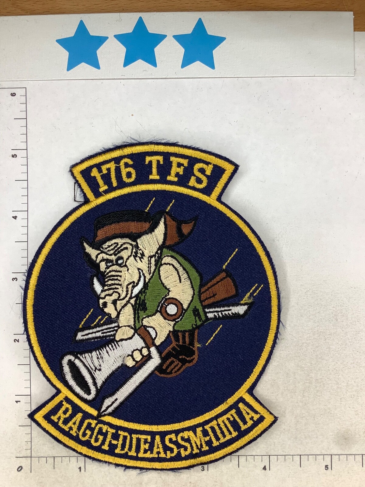 USAF 176th TACTICAL FIGHTER SQUADRON PATCH