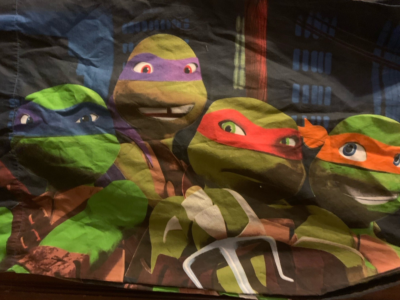 Pillow Case Pair Teenage Mutant Ninja Turtles Leo Raphael Nickelodeon Colorful!