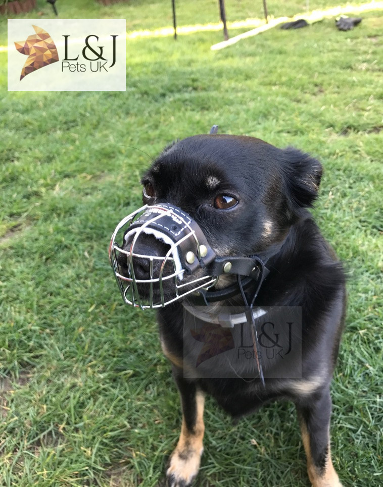 New Metal STRONG Wire Basket Dog Muzzle for Rattler Yorkshire Terrier & other