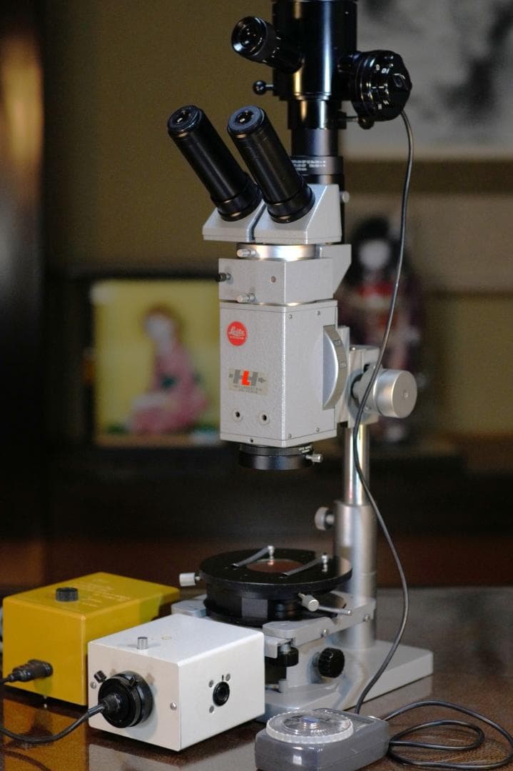 microscope antique collectible Leitz's "Elber" Stereo Polarizing Microscope