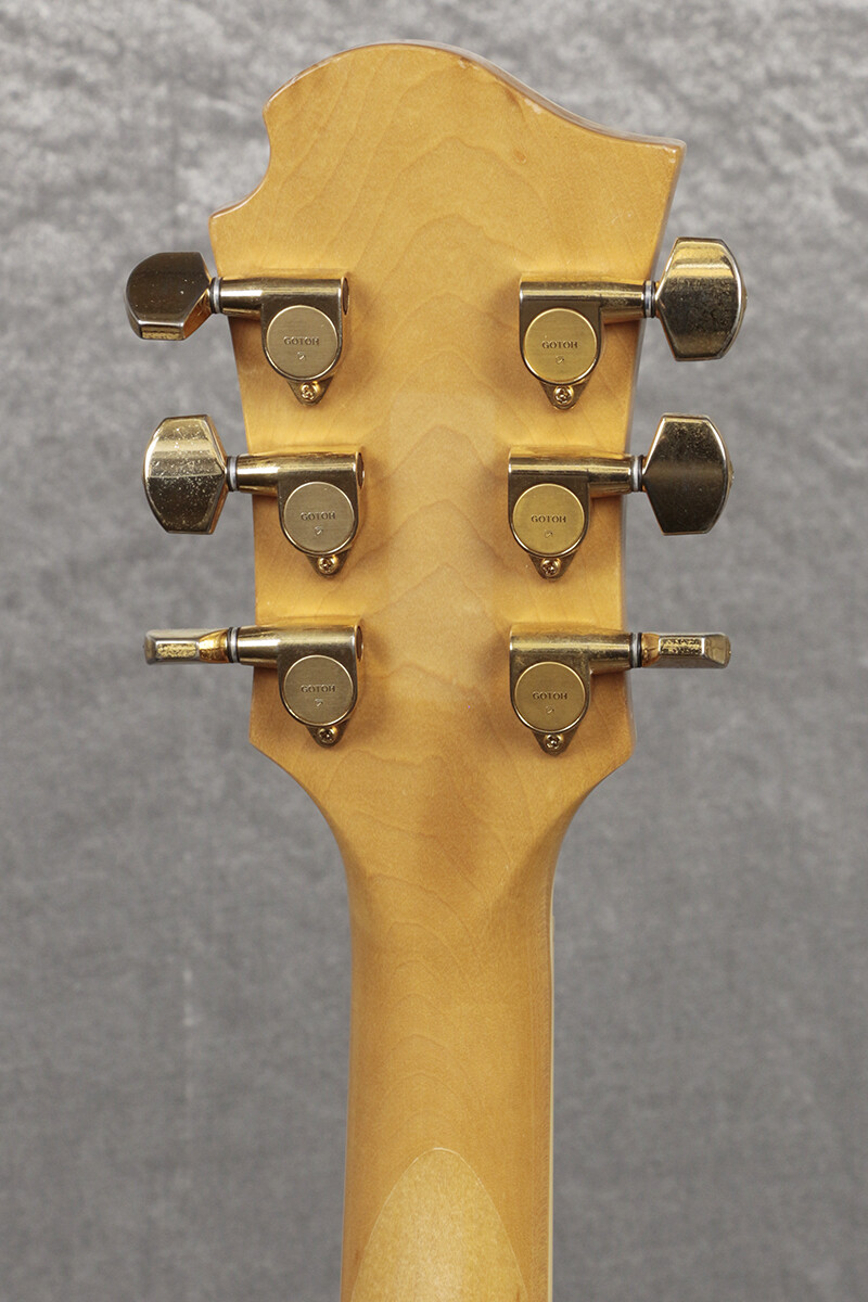 FERNANDES BURNY MG-165S Cherry Sunburst hide Model