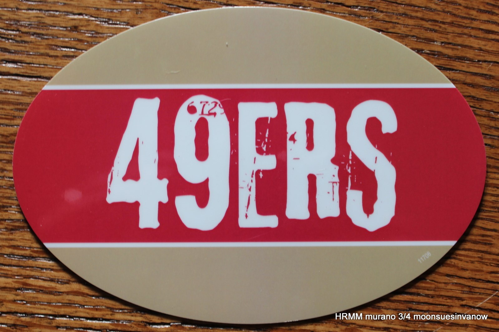 San Francisco 49ers Oval Car Magnet Made In The USA Football Sports Waterproof
