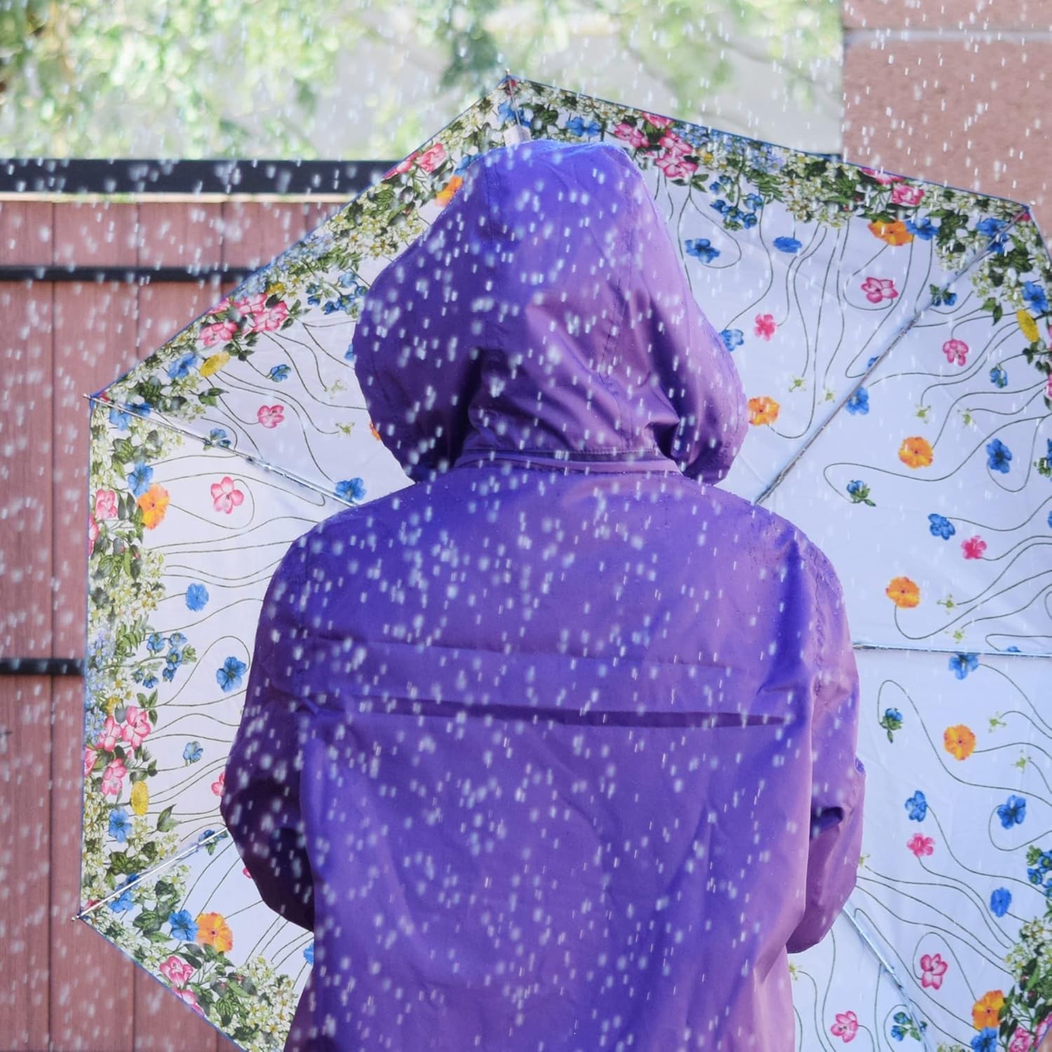Totes Auto Open/Close Compact Umbrella with Printed Under Canopy