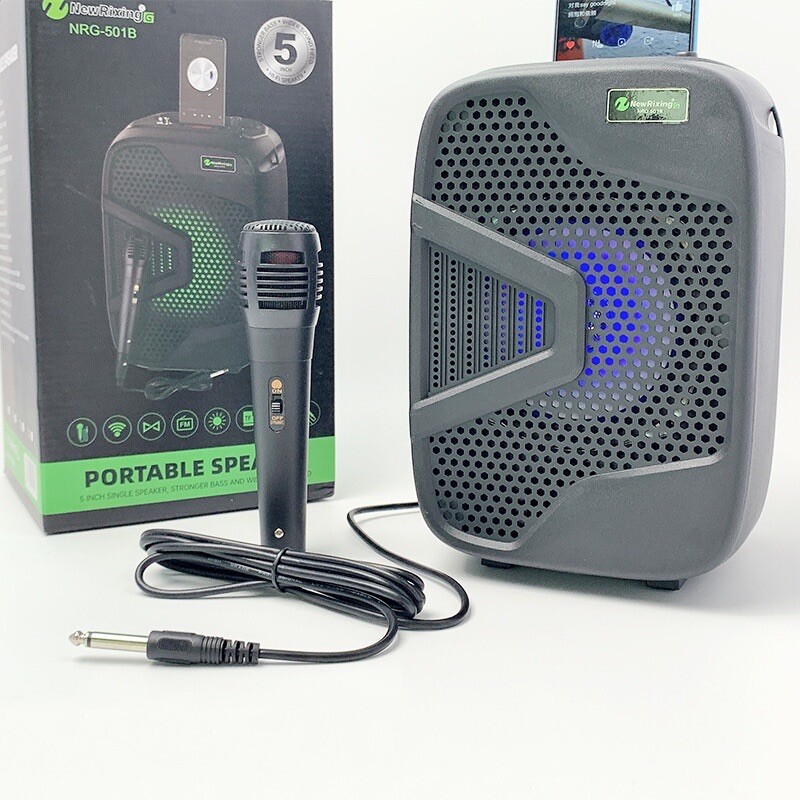 Portable Karaoke Machine Speaker with Microphone,Bluetooth 5.0, Wireless Speaker
