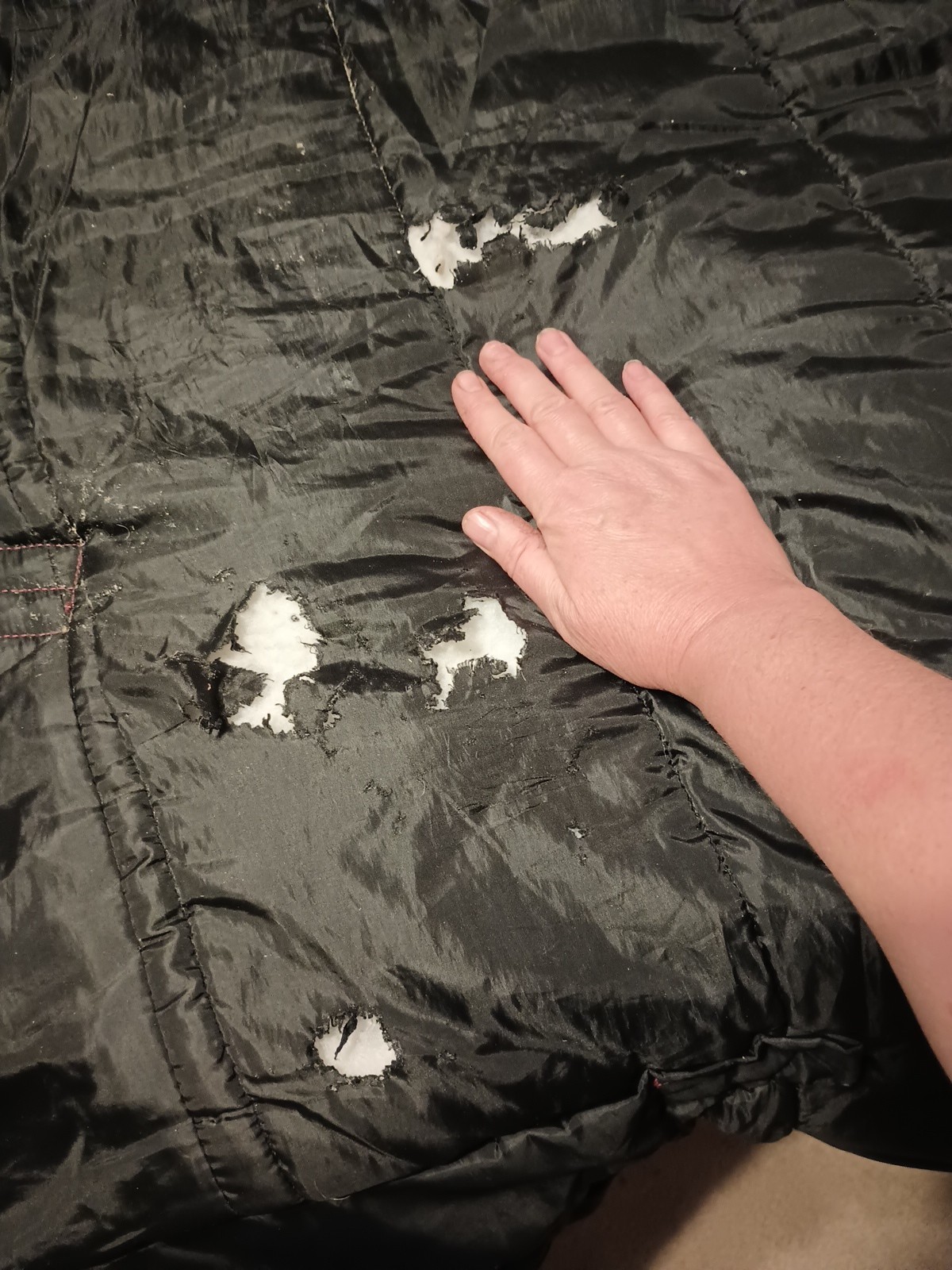 Ozark Leather Blue/Red Winter Horse Blanket 80"
