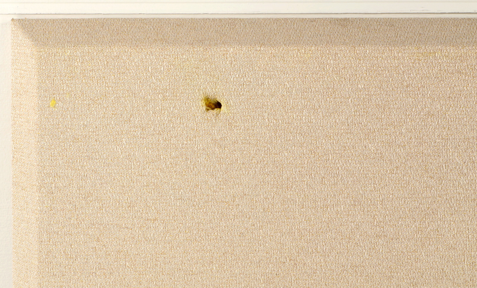 Auralex ProPanel Cloud 4x4, BE, Sandstone