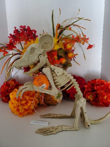 Halloween Rat 14"Animated Skeleton  ~ Light Up Eyes with Moving Jaw & Sound *NEW