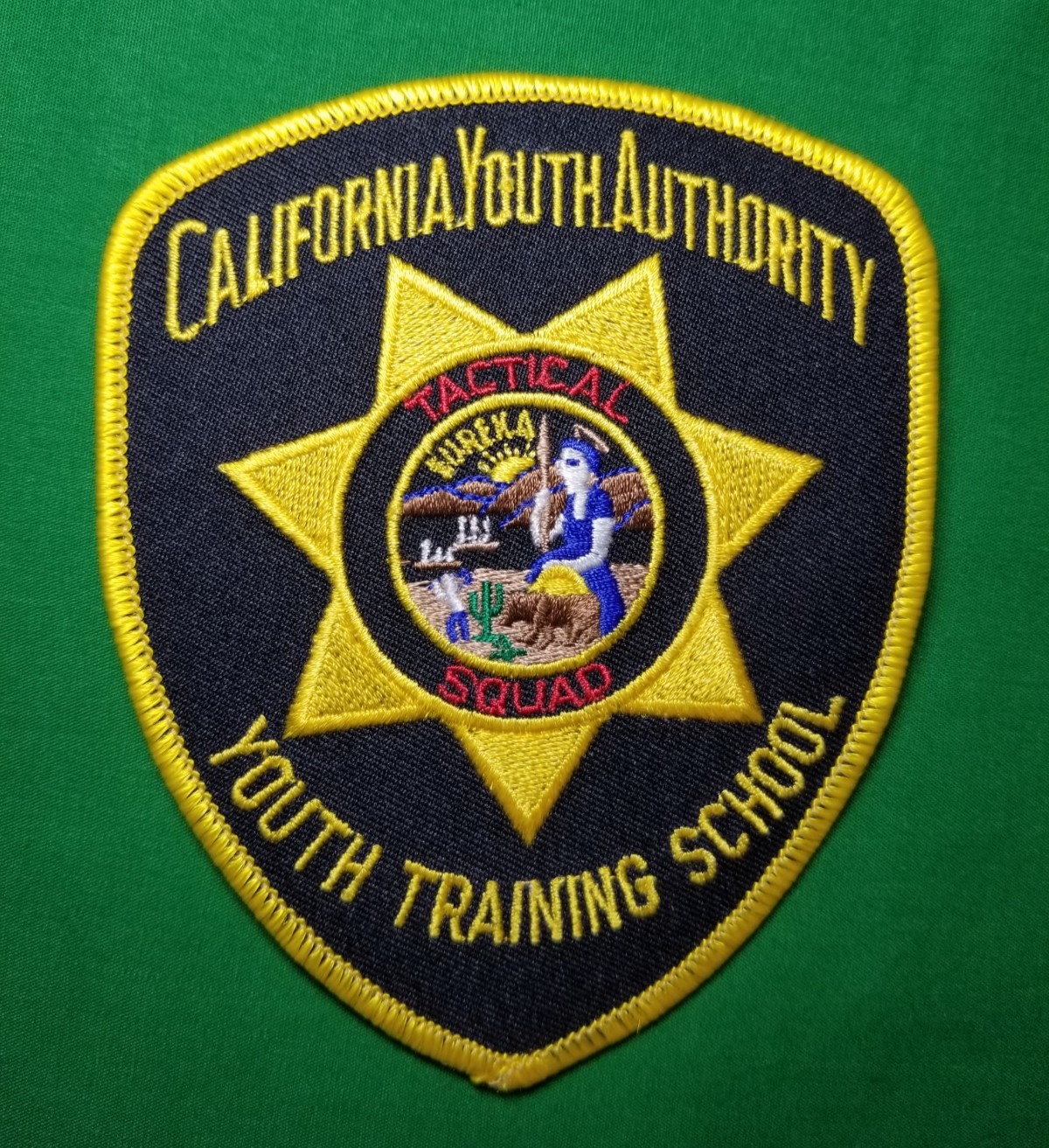 California Youth Authority CYA Tactical Team Squad SHOULDER Patch HGS/YTS
