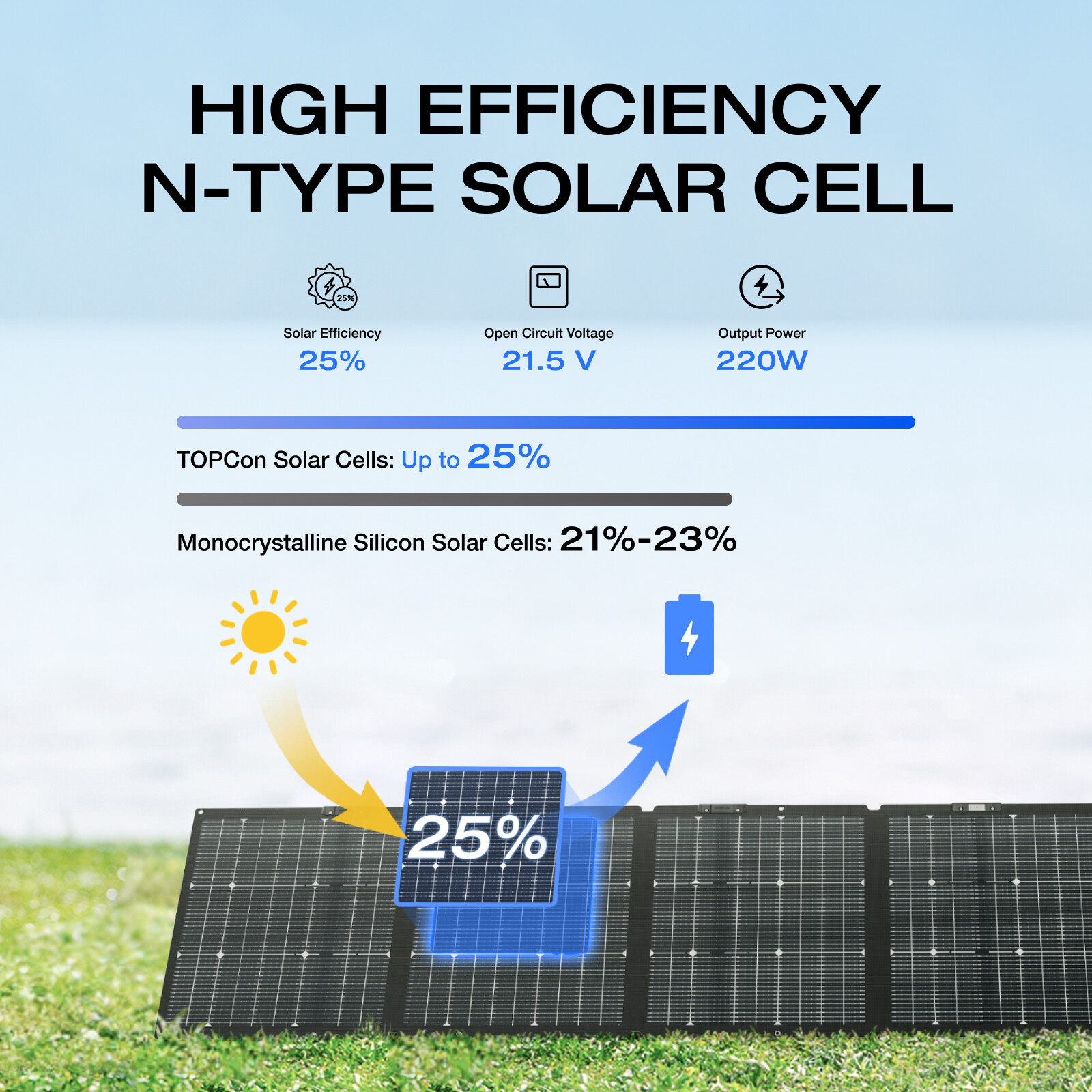 EcoFlow 220W Bifacial Foldable Solar Panel Portable Power Supply 23% Efficiency