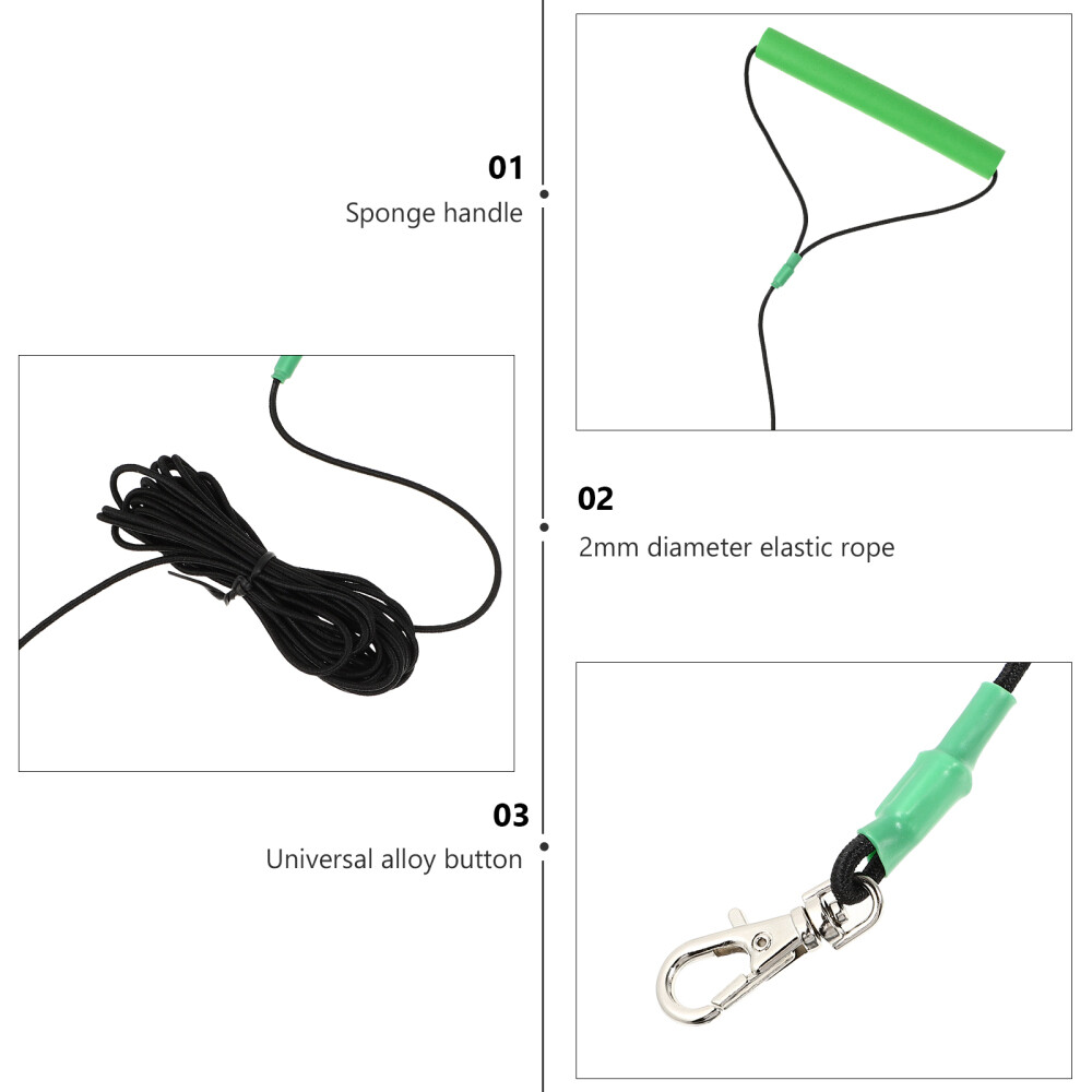 Conure Conure Bird Rope Hamster Leash Training