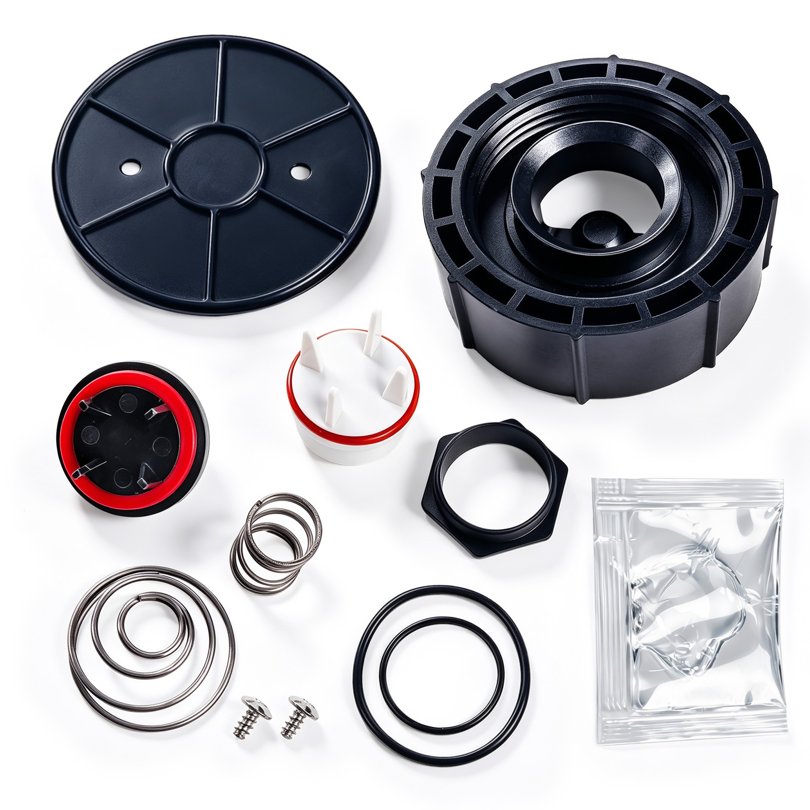 1" 800M4 PVB Repair Kit For Watts LF800M4
