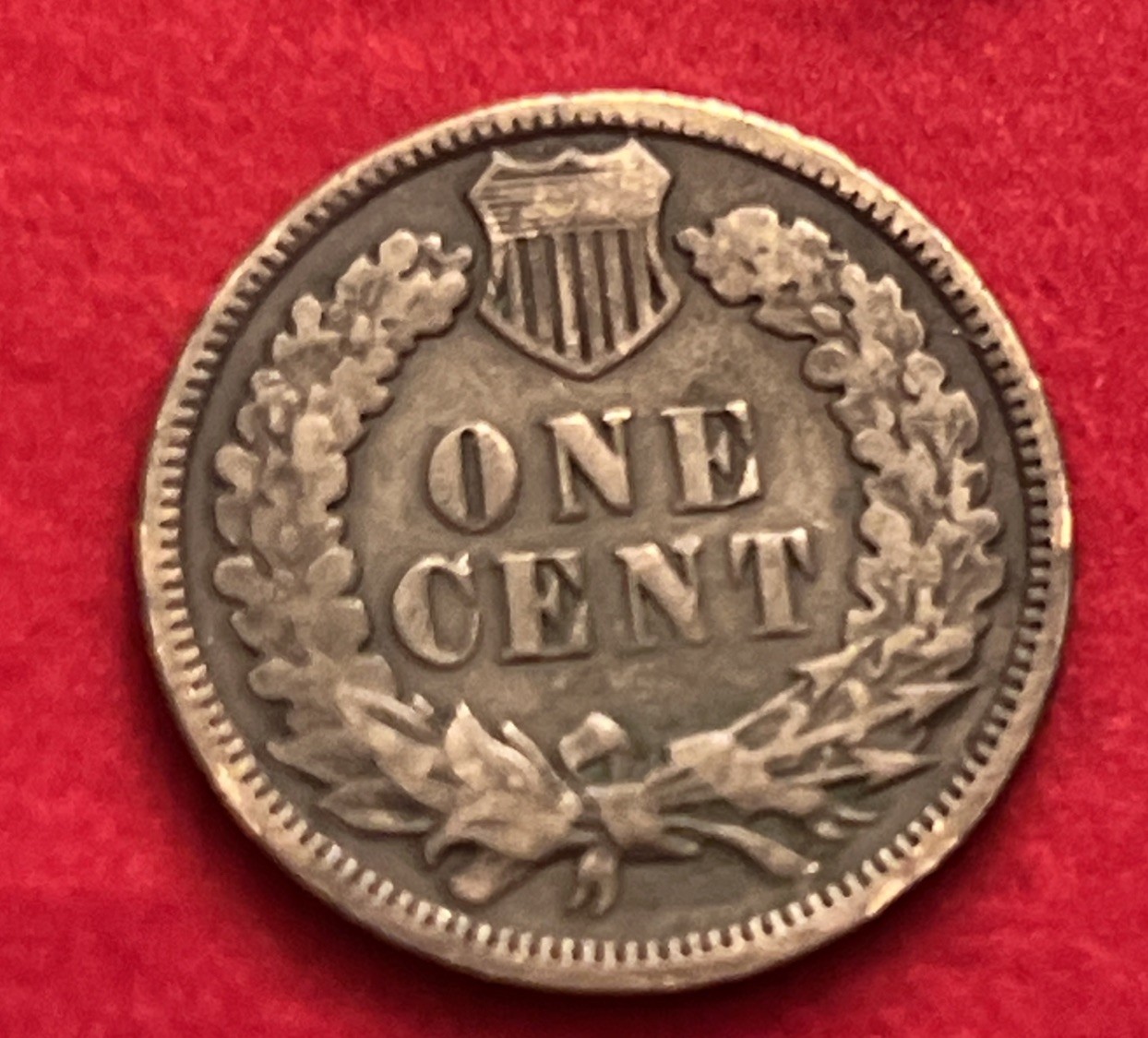 1892 indian head cent BN19
