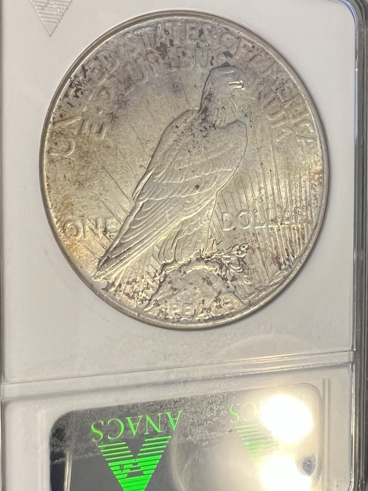 1925-P Peace Silver Dollar -- ANACS MS64 -- old Soapbox Holder!