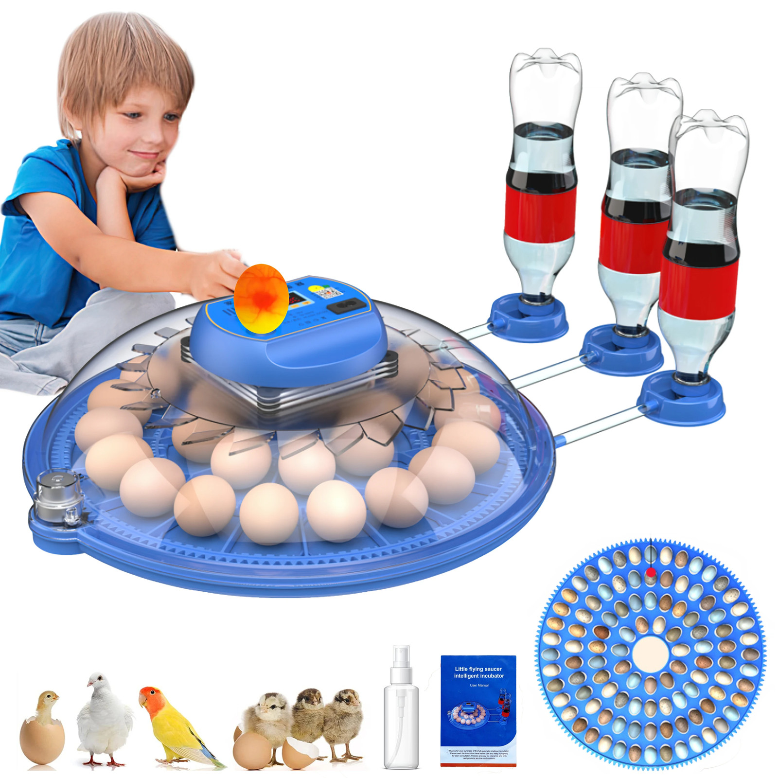 26-52 Eggs Automatic Incubator，Upgrade Automatic Water Adding，360 Degree View