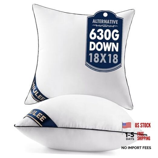 18x18 Pillow Inserts Set of Throw Pillows 18 Inch Premium Down 18x18 Inch 2