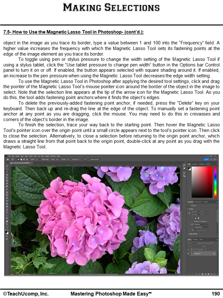 Learn ADOBE PHOTOSHOP Training Tutorial DVD and Digital Course and PDF Manual