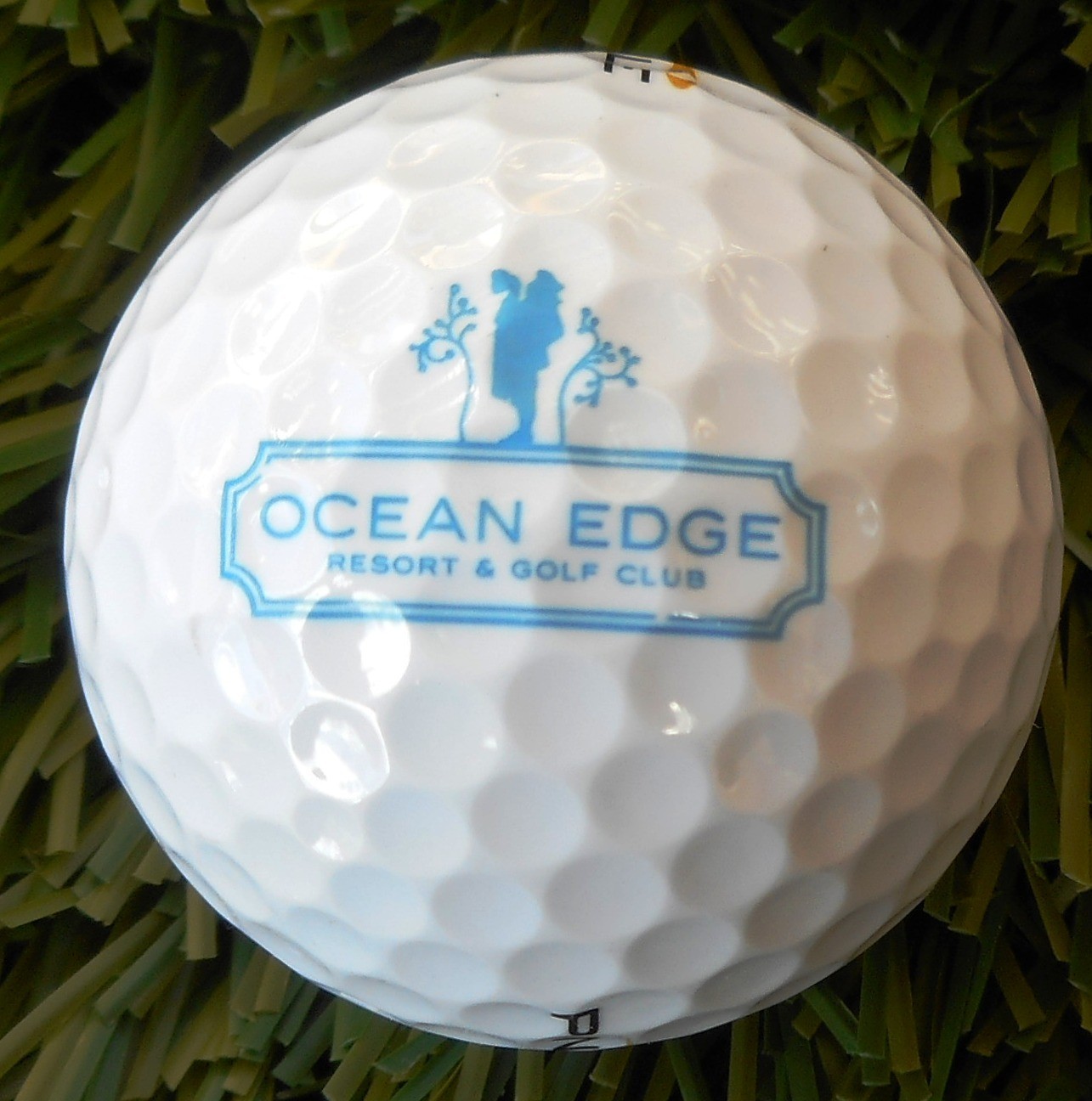 Ocean Edge Golf Resort Pinnacle logo ball new #2202