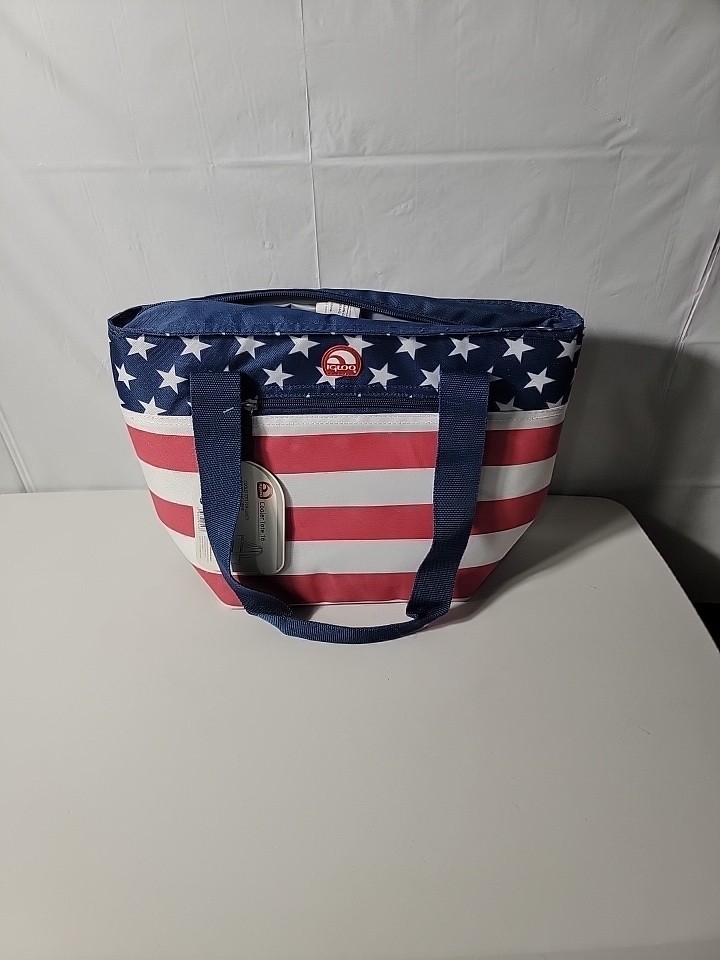 Igloo Bag Cooler NWT