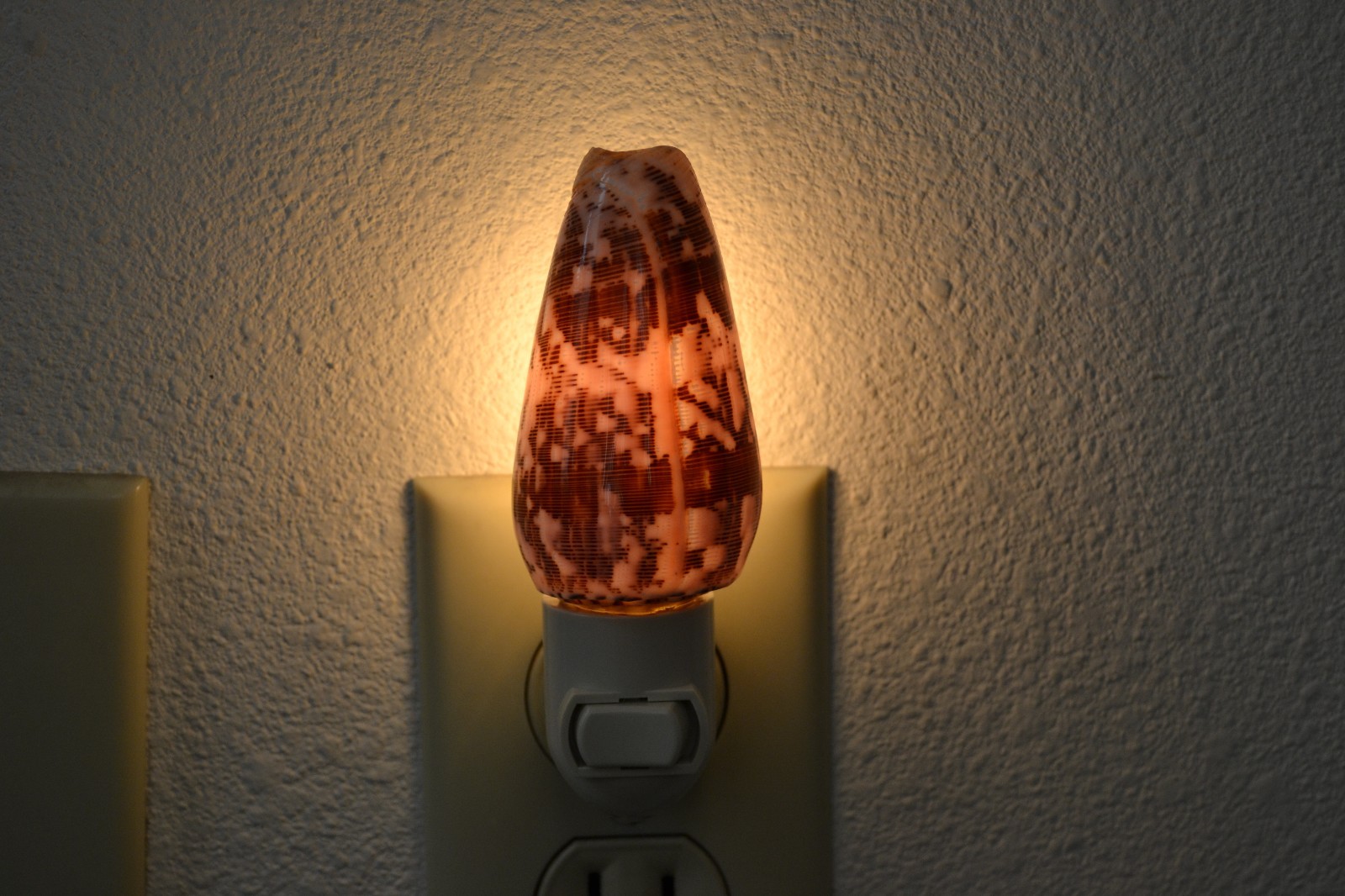 PURPLE CIRCUMACTUS CONE SEA SHELL NIGHT LIGHT BATHROOM KITCHEN #7256