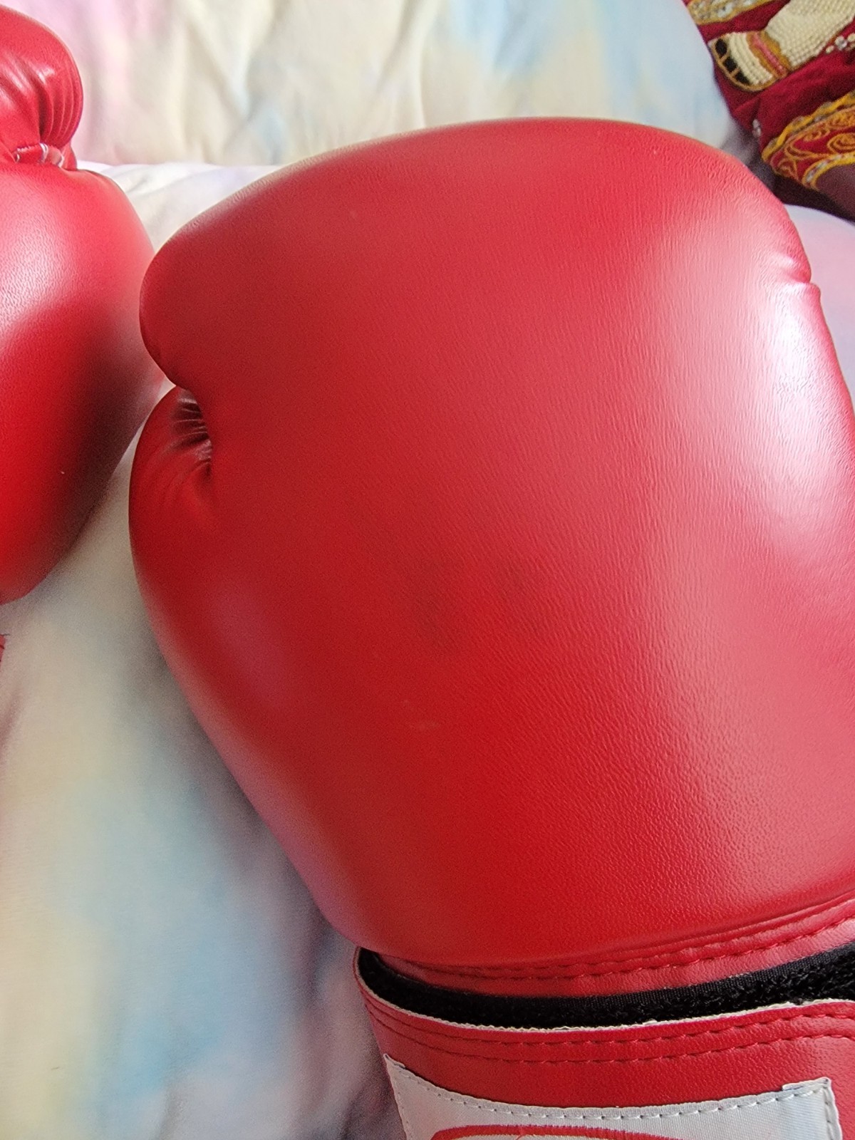 FBT 10 OZ Boxing Gloves