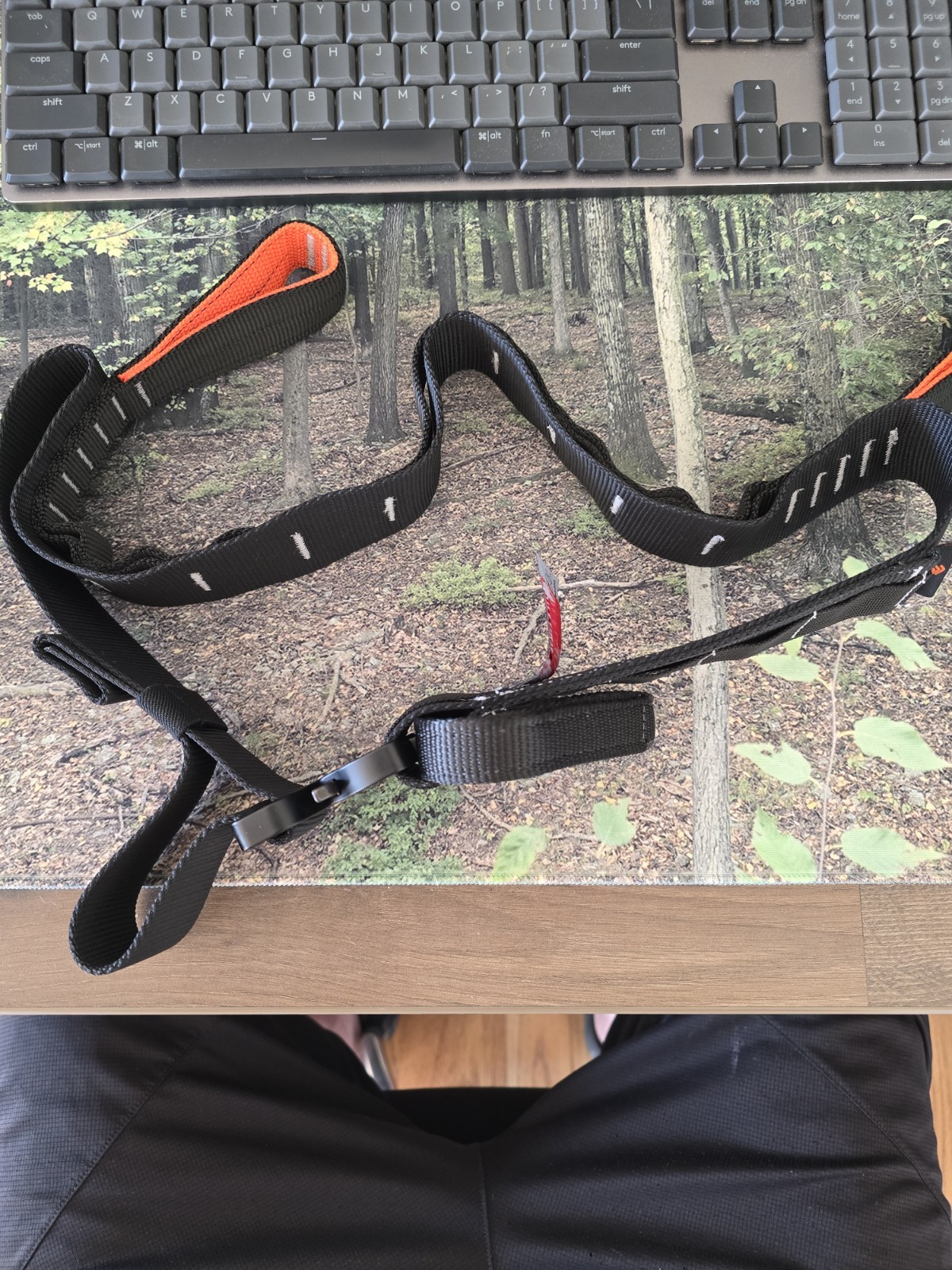 Dryad Killdeer Belt - Large
