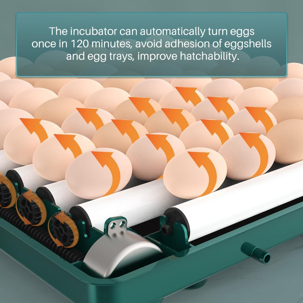 Automatic Egg Incubator 12-38 Egg Digital Poultry Hatcher Machine Ith Automatic