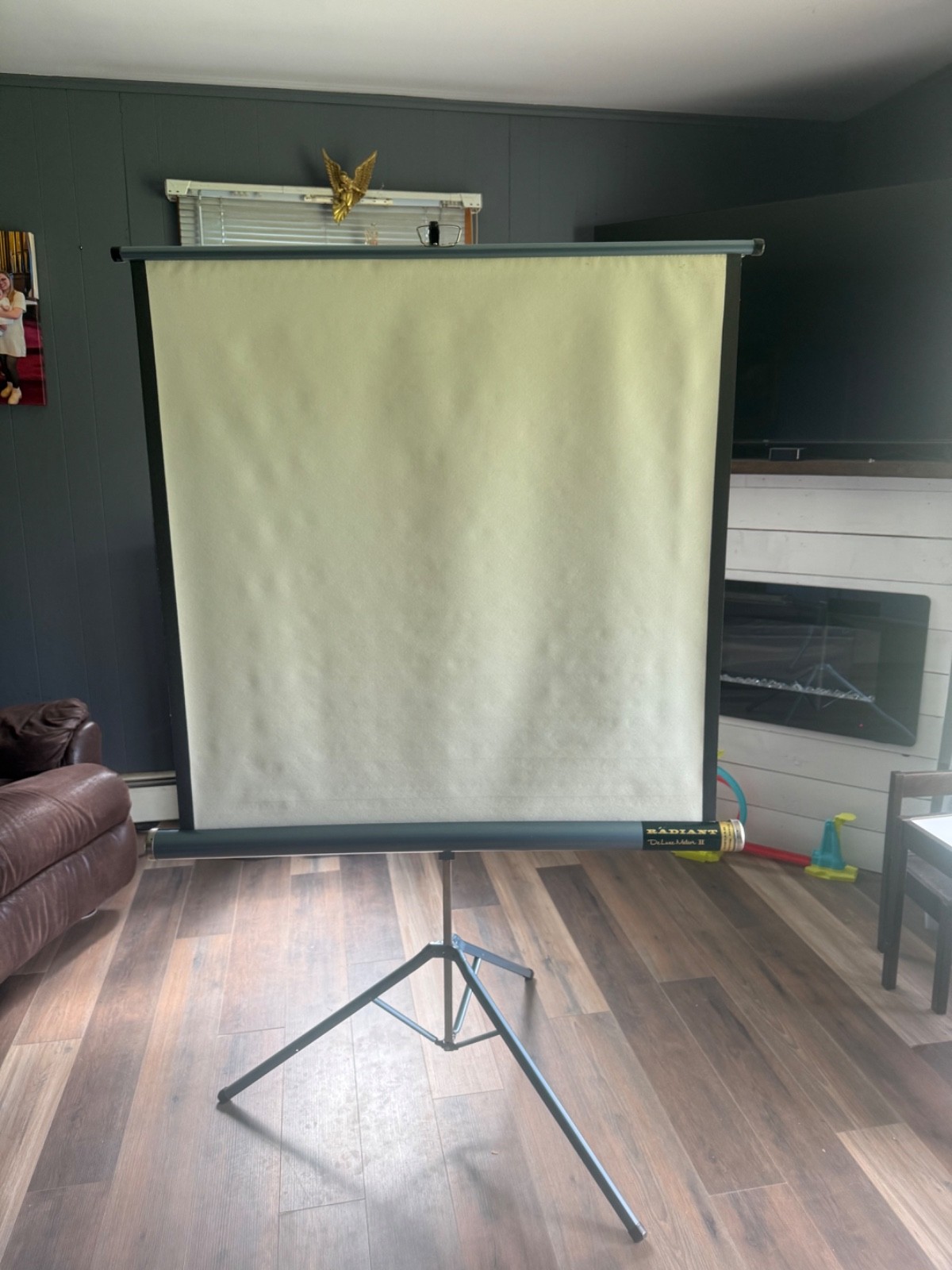 movie screen with stand