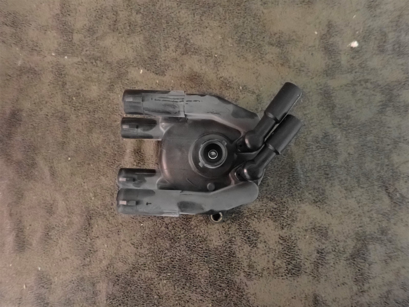 NEW WVE 5D1290 Distributor Cap (G209)