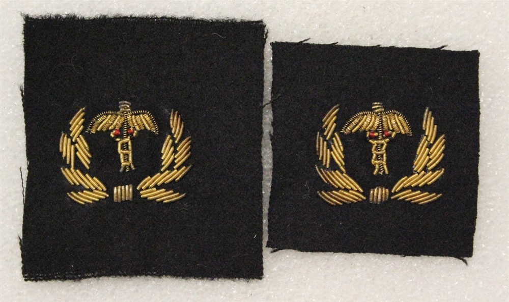 US Naval Sleeve Insignia 1195: Maritime Service, W.O. Hospital Corps - pair