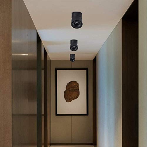 LED Ceiling Spotlight - Wall Light 360°Adjustable 3000K（warm light） Black