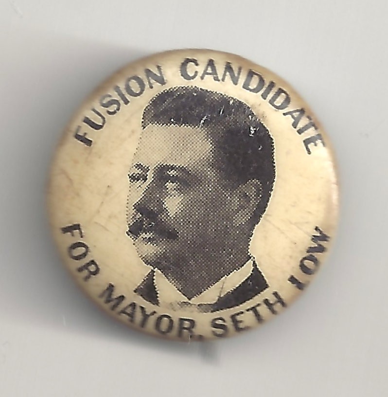 SETH LOW For NYC Mayor FUSION CANDIDATE Pin